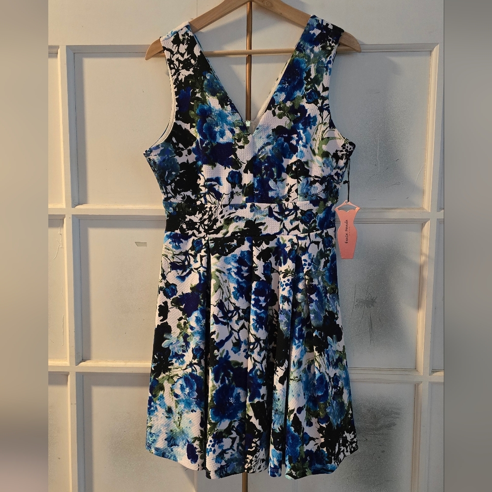 Floral Blue and Black Dress